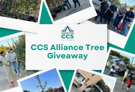 Houston CCS Alliance Hosts Community Tree Giveaway in Galena Park