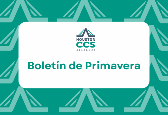 Boletin de Primavera